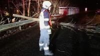 silnice strom Gg6oBliW0AAEcPP